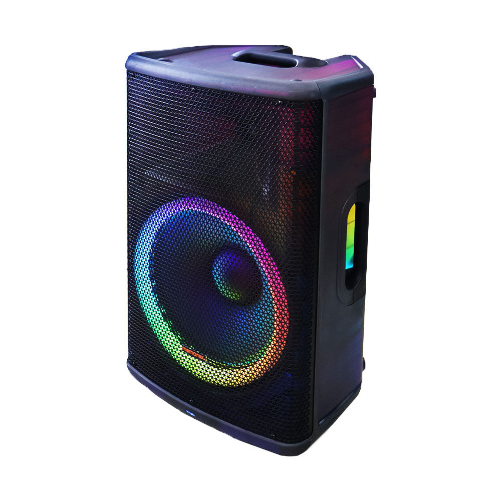 MEMOREX 15″ PARTY SPEAKER MX-PS1501 - Main Image
