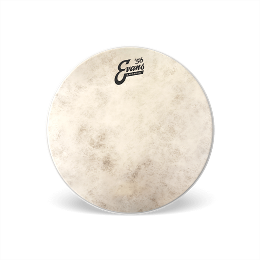 Evans Calftone Drumhead - 12 inch