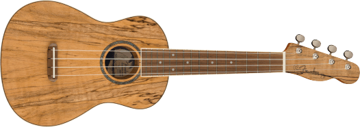 Ukelele de concierto exótico Fender Zuma, diapasón de nogal y arce spalted