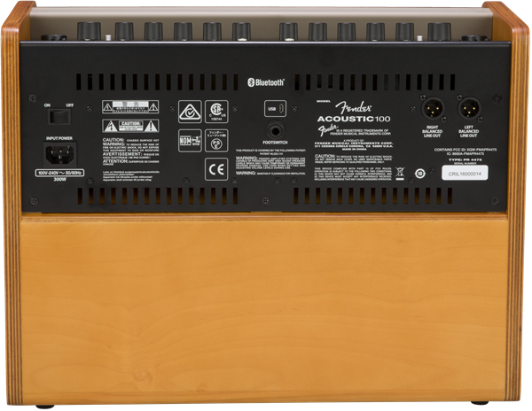 Fender Acoustic 100 Acoustic Guitar Amplifier