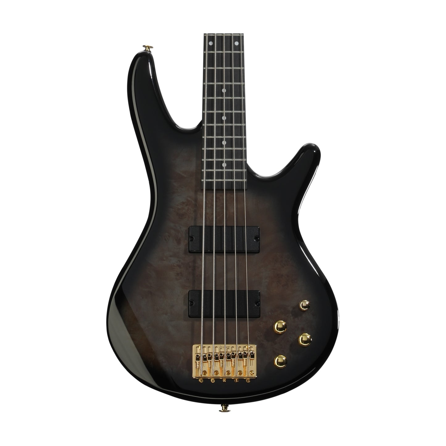 Ibanez Gio GSR205PC 5-String Bass Guitar - Transparent Pale Black Burst