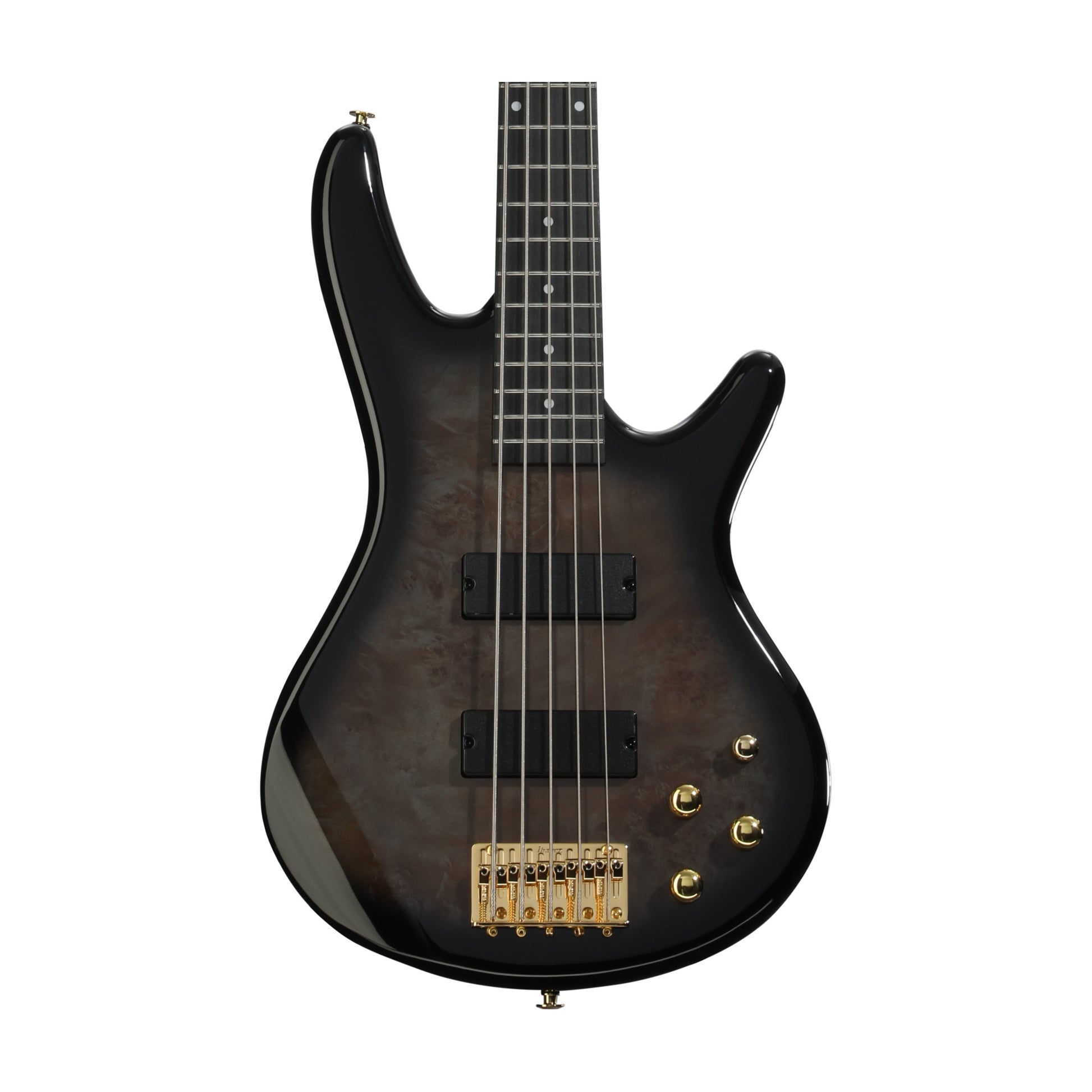 Ibanez Gio GSR205PC 5-String Bass Guitar - Transparent Pale Black Burst