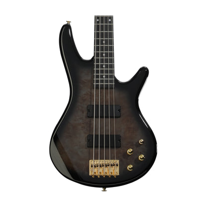Ibanez Gio GSR205PC 5-String Bass Guitar - Transparent Pale Black Burst