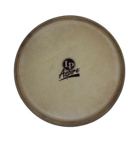 LP Aspire Bongo Head, 8"