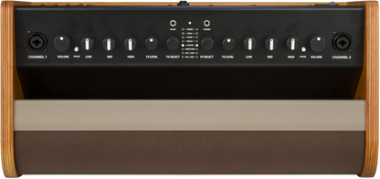 Fender Acoustic 100 Acoustic Guitar Amplifier