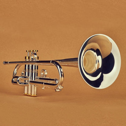 Arocha Pro Trumpet - Gold Lacquer