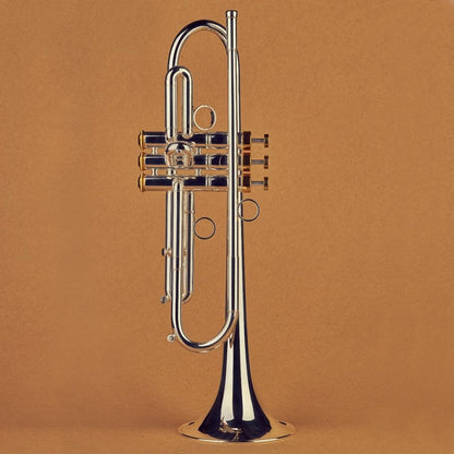 Arocha Pro Trumpet - Gold Lacquer