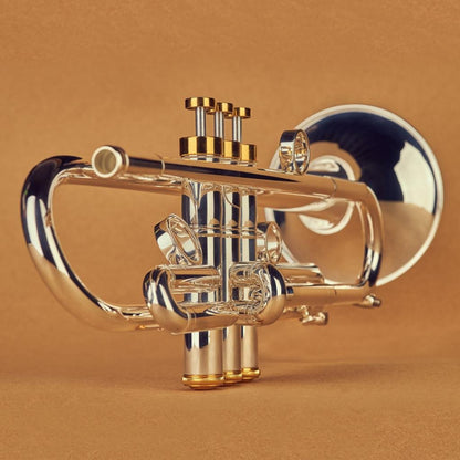 Arocha Pro Trumpet - Gold Lacquer