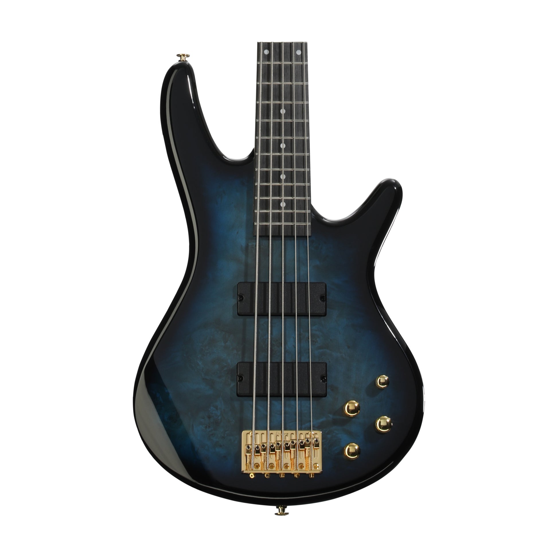 Ibanez Gio GSR205PC 5-String Bass Guitar - Transparent Marine Burst