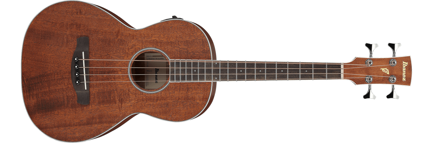 Ibanez PNB14E Acoustic-Electric Bass - Open Pore Natural