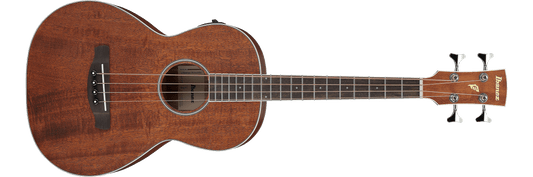 Ibanez PNB14E Acoustic-Electric Bass - Open Pore Natural