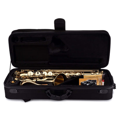 TS-860 Tenor Saxophone inside Carrying Case#finish_brass
