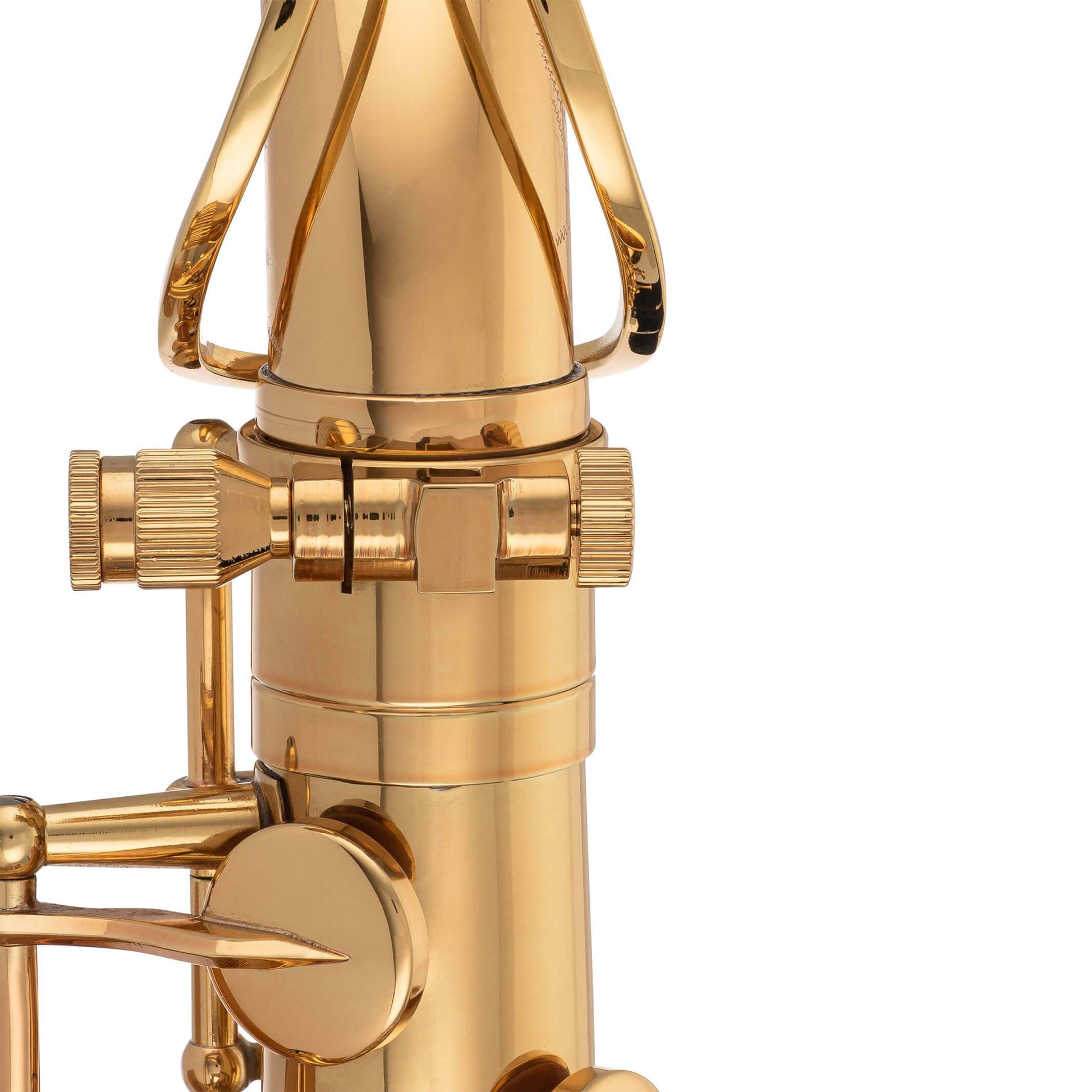 TS-860U Tenor Saxophone Unlacquered Big Neck Screw#finish_unlacquered