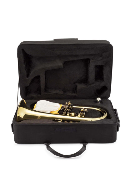 Jean Paul Intermediate Flugelhorn