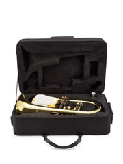 Intermediate Flugelhorn