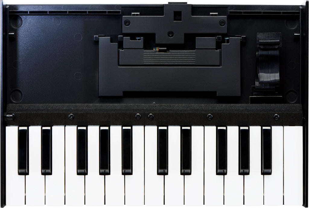 Roland K-25m Boutique Series Keyboard Unit