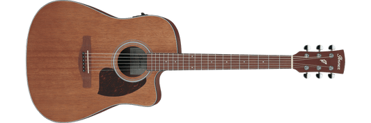Ibanez PF54CE Acoustic-electric Guitar - Natural